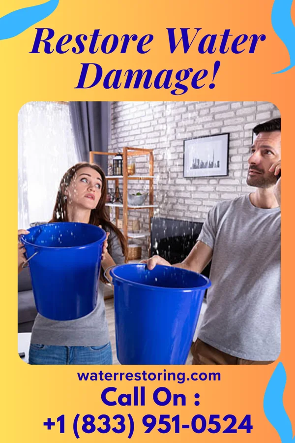 water restoration Best Water Removal Authority Geneva