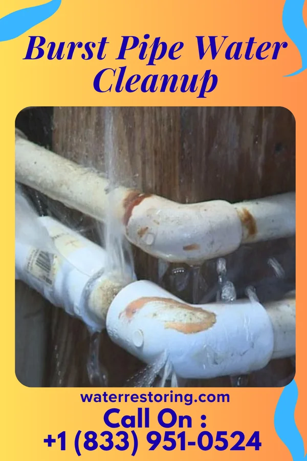 Burst Pipe Water Cleanup in Geneva, PA