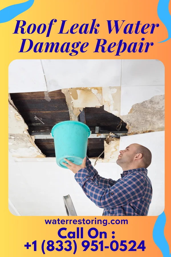 Roof Leak Water Damage Repair in Geneva, PA